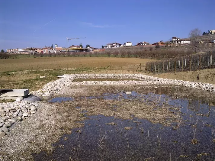 IRIDRA progetto per Cantina A. Agr. G.D. Vaijra