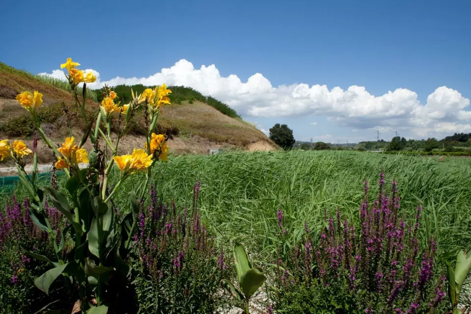 IRIDRA progetto per Caseificio della coop. Fattoria della Piana Soc. Agr