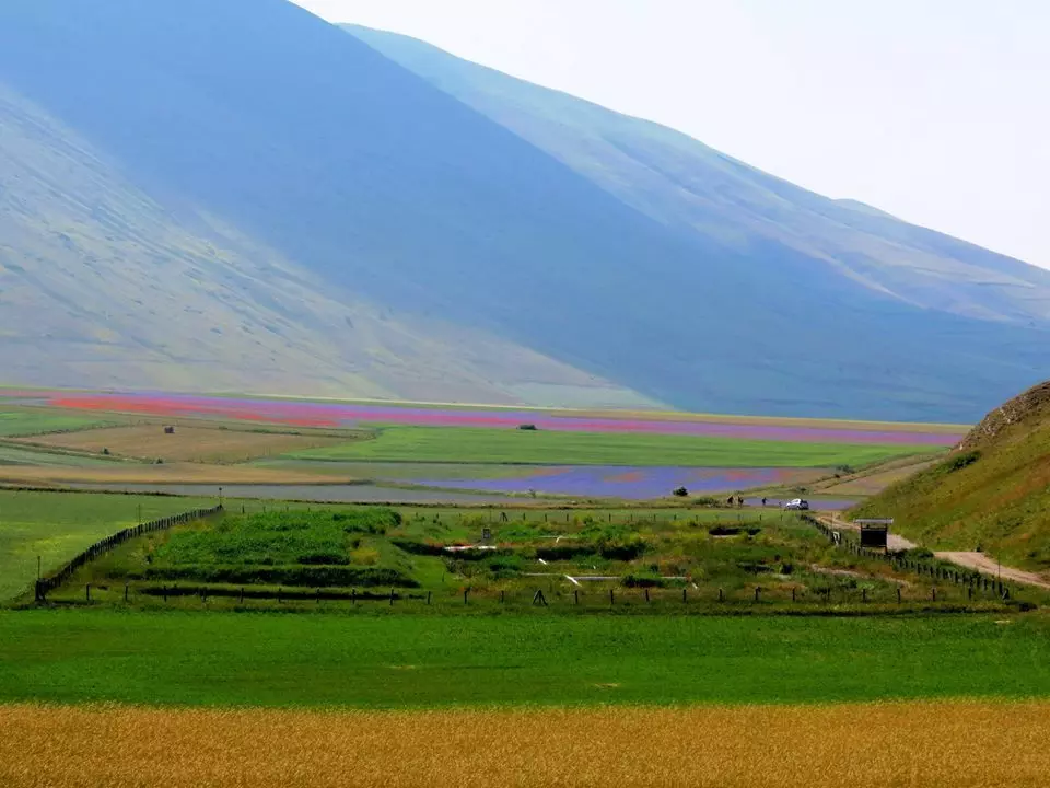 urbani castelluccio web